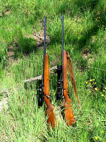 Winchester Model 43 218 Bee 