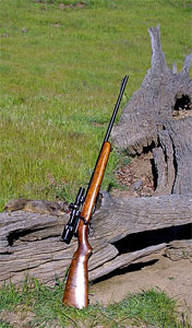 Winchester Model 43 218 Bee